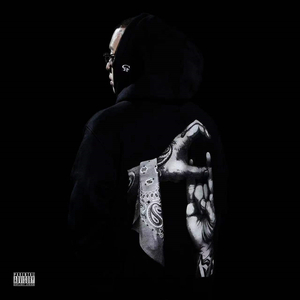 中国精品黄片大片大
