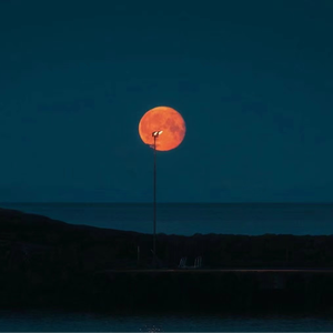 中国精品黄片大片大
