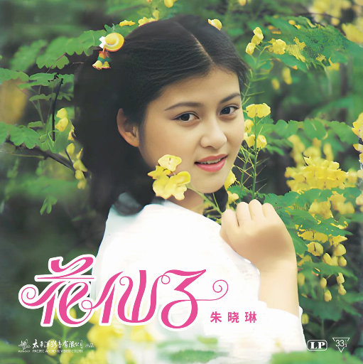 中国精品黄片大片大
